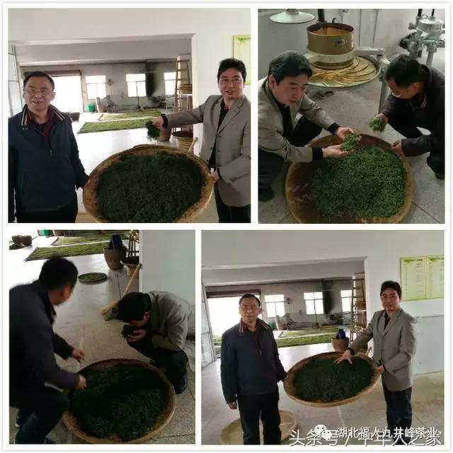 湖北有机茶厂家