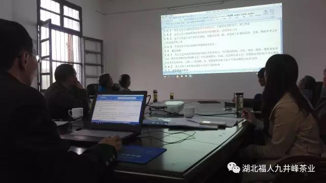 湖北有机茶厂家