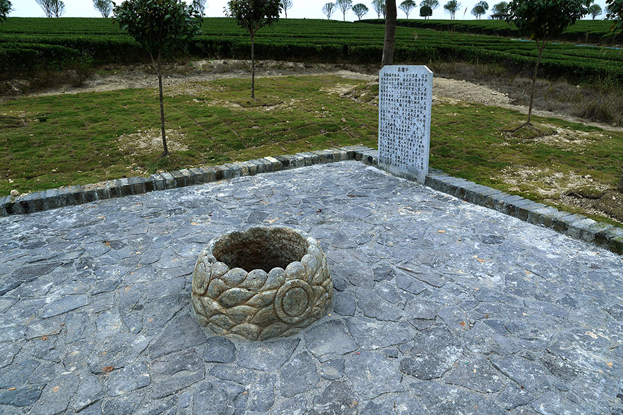 湖北有机茶厂家